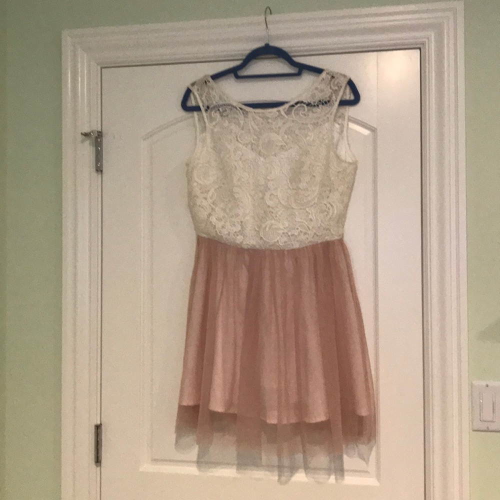 Francesca pink Lace and chiffon dress size large